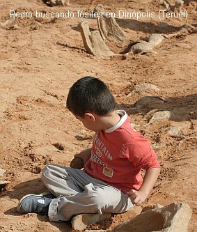 Pedro Buscando Fósiles en Dinópolis